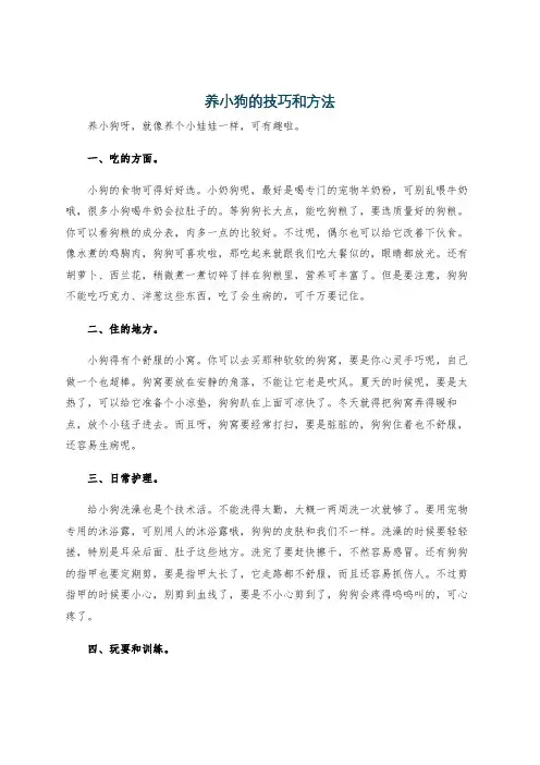 养小狗的技巧和方法