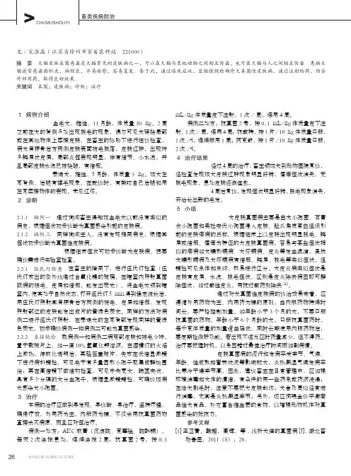 犬真菌性皮肤病的诊断与治疗