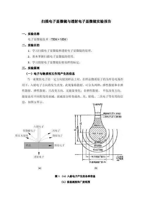 semtem实验报告