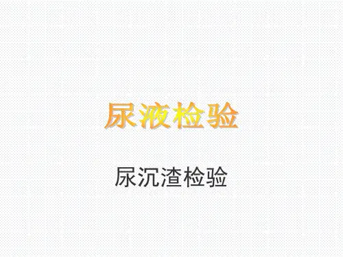 宠物疾病诊疗-尿液检验--尿沉渣检验