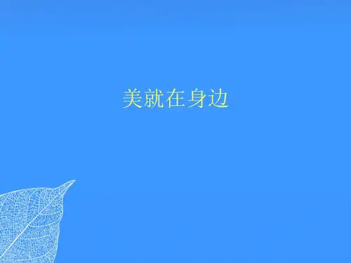 【正式版】美就在身边PPT文档