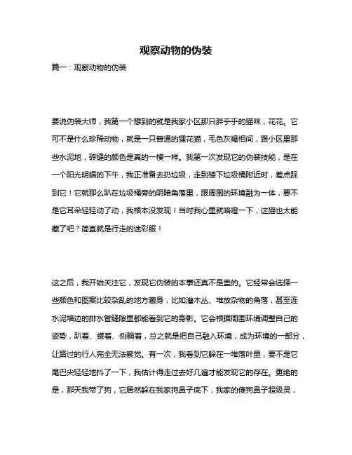 作文《观察动物的伪装》