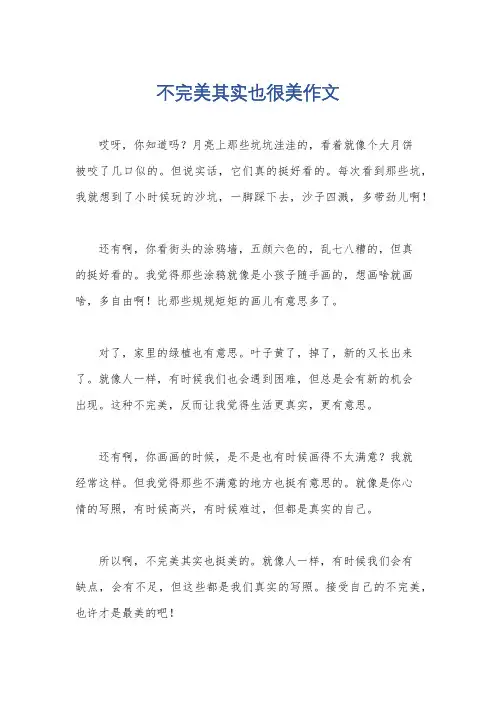 不完美其实也很美作文