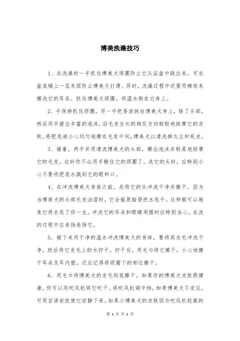 博美洗澡技巧