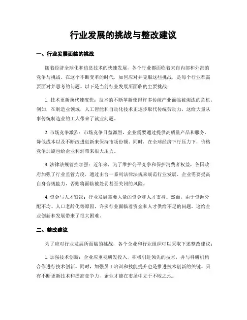 行业发展的挑战与整改建议