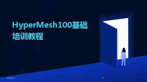 2024版HyperMesh100基础培训教程
