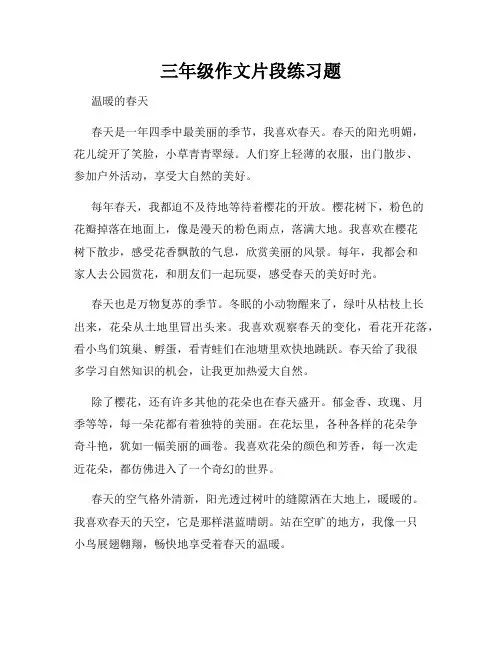 三年级作文片段练习题
