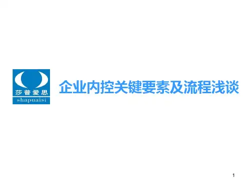 内控5要素及流程PPT幻灯片课件