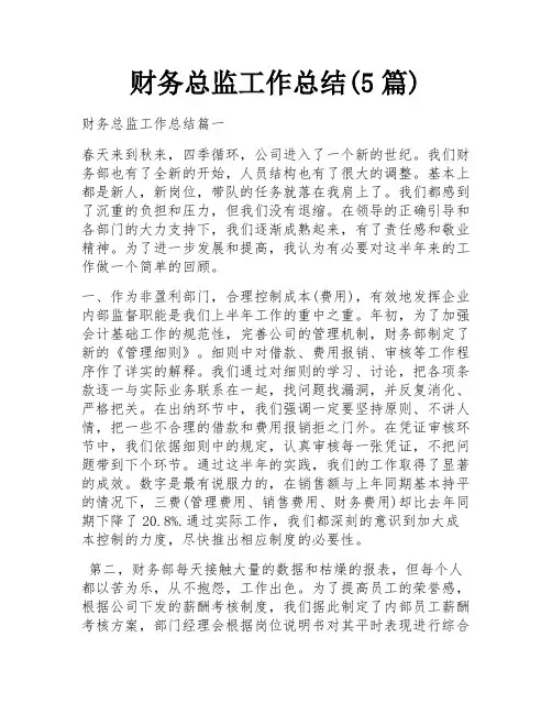 财务总监工作总结(5篇)