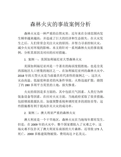 森林火灾的事故案例分析