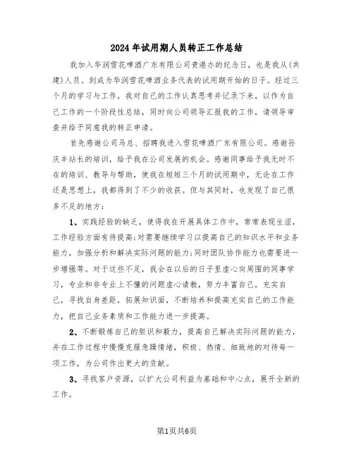 2024年试用期人员转正工作总结（3篇）