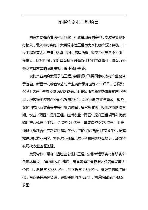 前瞻性乡村工程项目