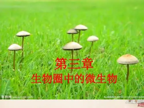 七年级生物上册第二单元第三章第一节病毒课件(新版)济南版 (1)
