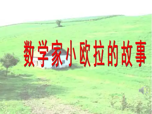 数学家小欧拉的故事