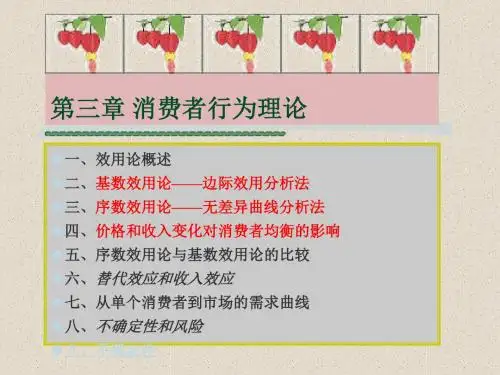 西方经济学3消费者行为理论