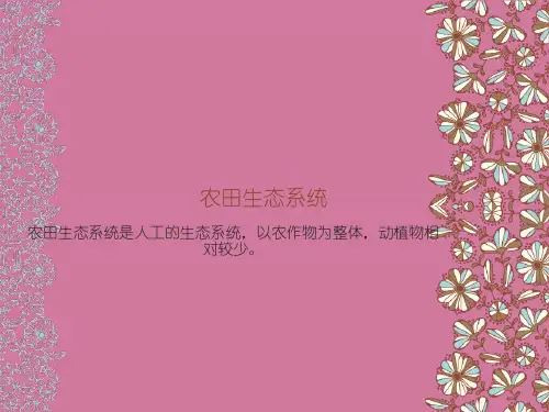 《农田生态系统》ppt课件