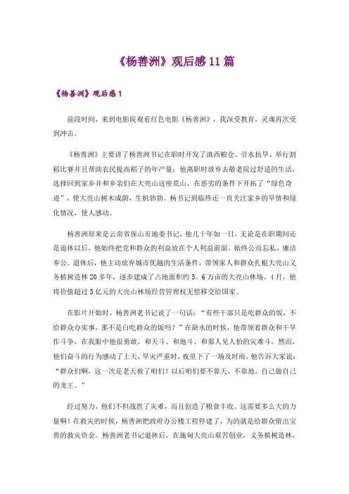 《杨善洲》观后感11篇