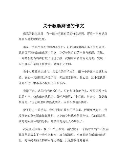 关于救助麻雀的作文