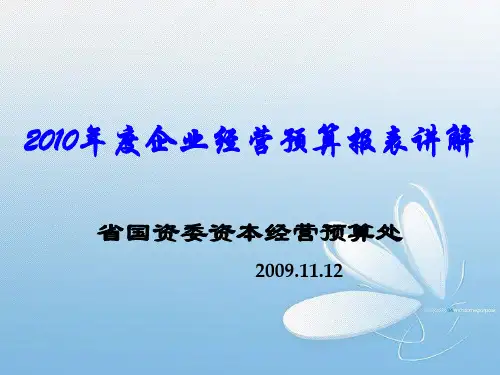 XXXX年度企业经营预算报表讲解(1)