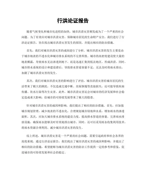 行洪论证报告