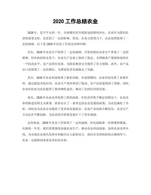 2020工作总结农业
