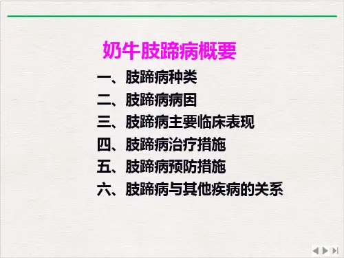 牛肢蹄病学习课件完整版