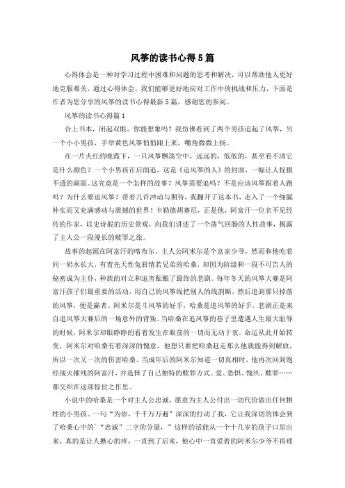 风筝的读书心得5篇