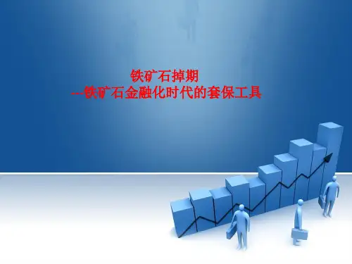 铁矿石掉期铁矿石金融化时代的套保工具-文档资料