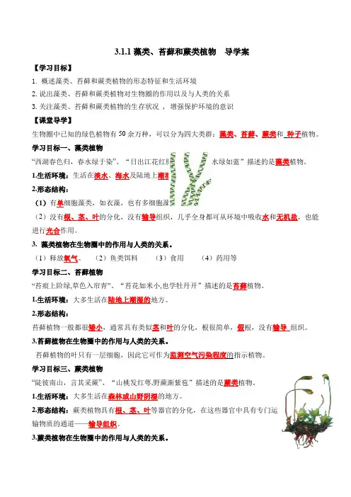 藻类苔藓和蕨类植物