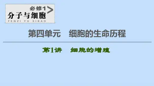 2021版高考生物一轮复习第4单元细胞的生命历程第1讲细胞的增殖课件苏教版必修1