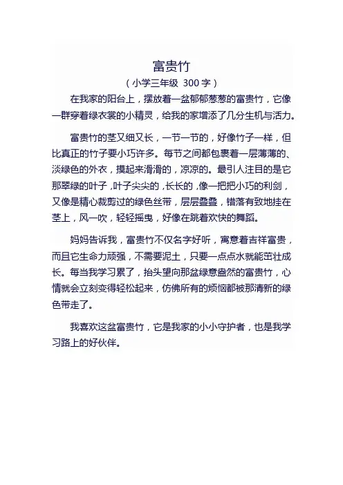 描写富贵竹的作文300字三年级