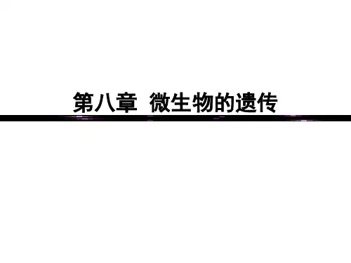 微生物学 第八章 微生物遗传
