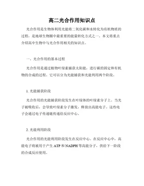 高二光合作用知识点