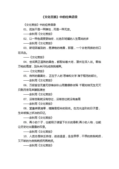 《文化苦旅》中的经典语录