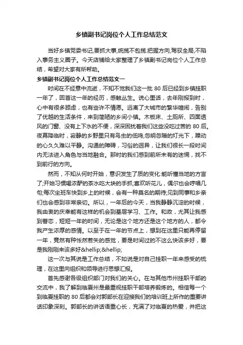 乡镇副书记岗位个人工作总结范文