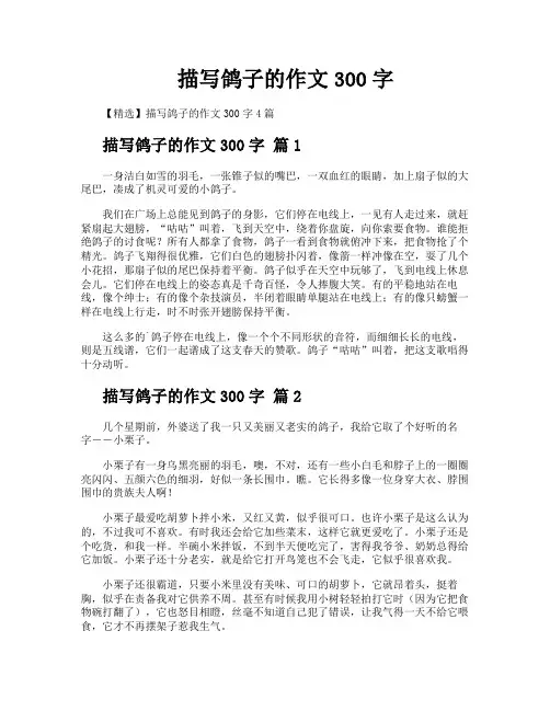 描写鸽子的作文300字
