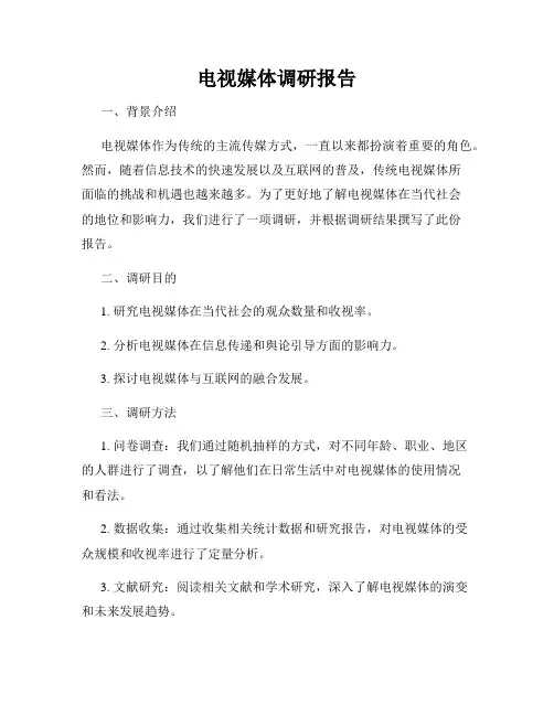 电视媒体调研报告