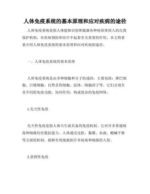 人体免疫系统的基本原理和应对疾病的途径