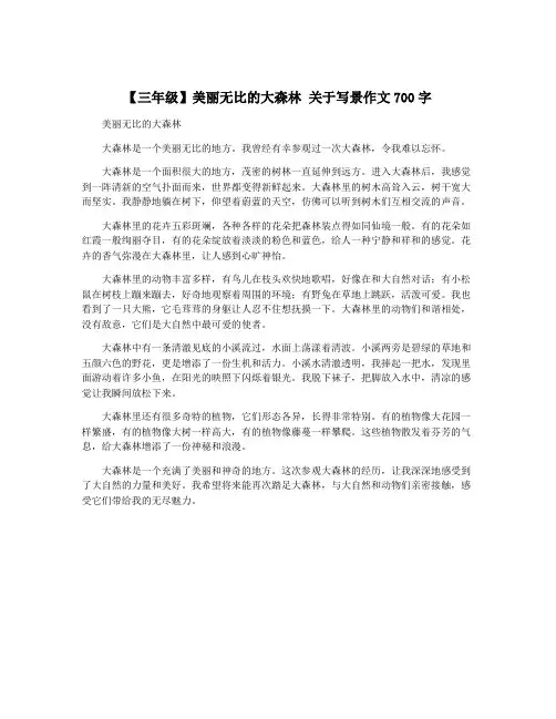 【三年级】美丽无比的大森林 关于写景作文700字