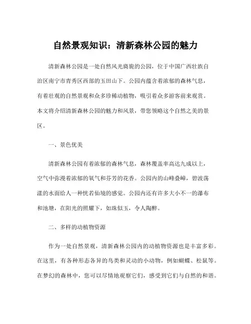 自然景观知识：清新森林公园的魅力