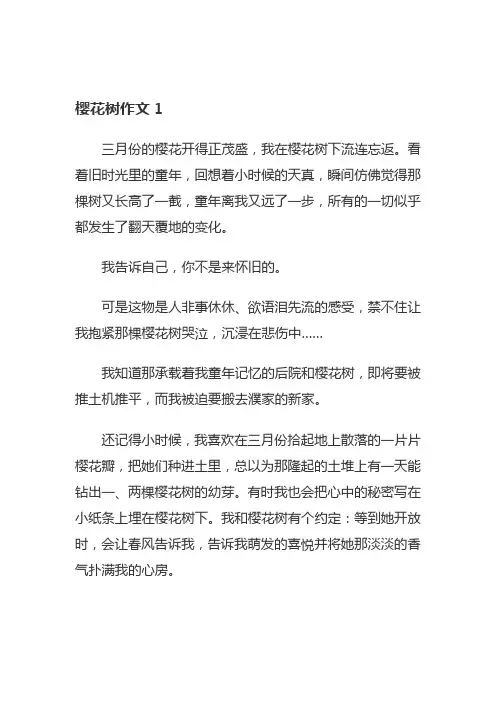小学里樱花约定的作文