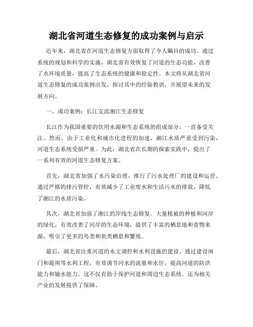 湖北省河道生态修复的成功案例与启示