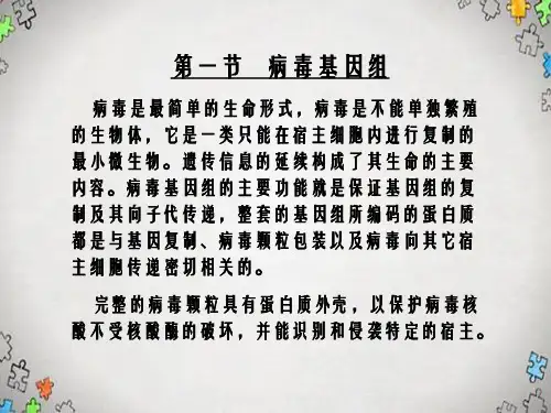 第三章基因组的结构和功能基因
