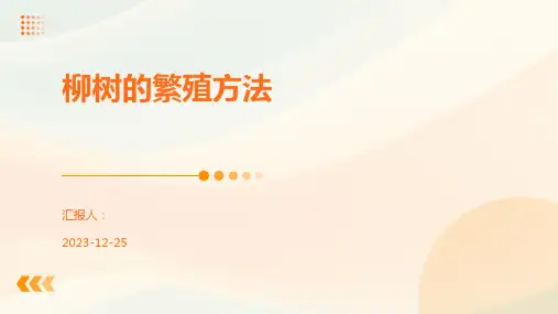 柳树的繁殖方法