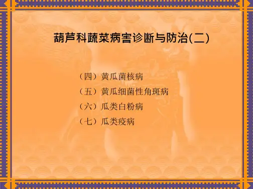 蔬菜病虫害识别诊断与防治—葫芦科蔬菜病虫害识别诊断与防治(园艺植物病虫害防治)