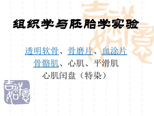 组织胚胎学实验：组织学与胚胎学实验