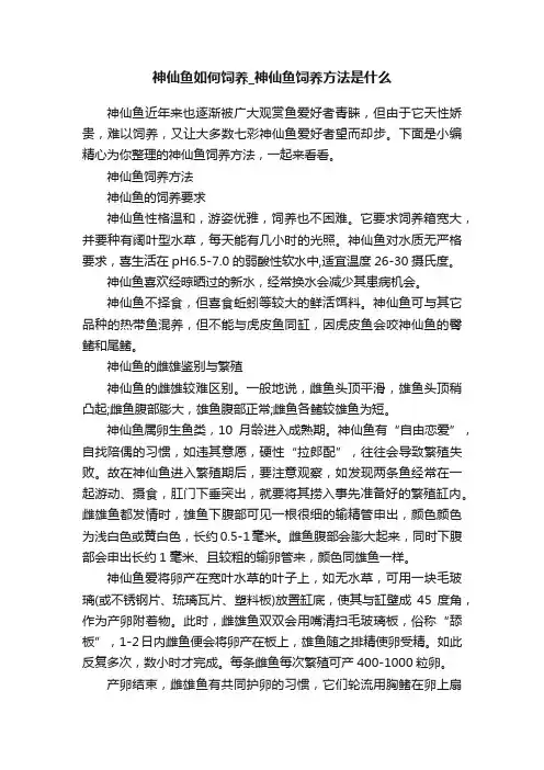 神仙鱼如何饲养_神仙鱼饲养方法是什么
