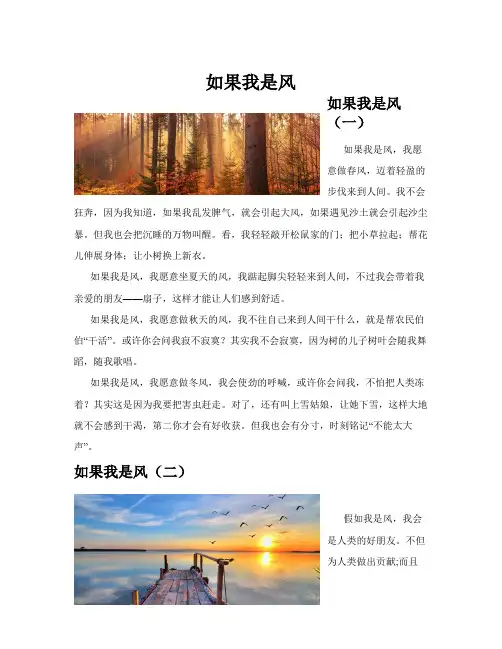 如果我是风(共10篇)