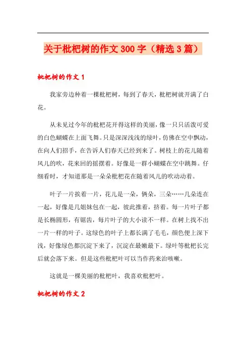 关于枇杷树的作文300字(精选3篇)