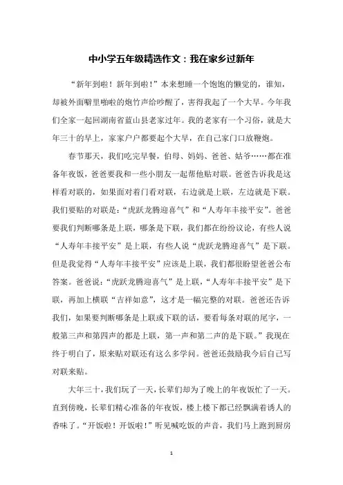 中小学五年级精选作文：我在家乡过新年